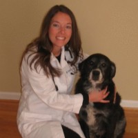 Dr. Gray Stewart